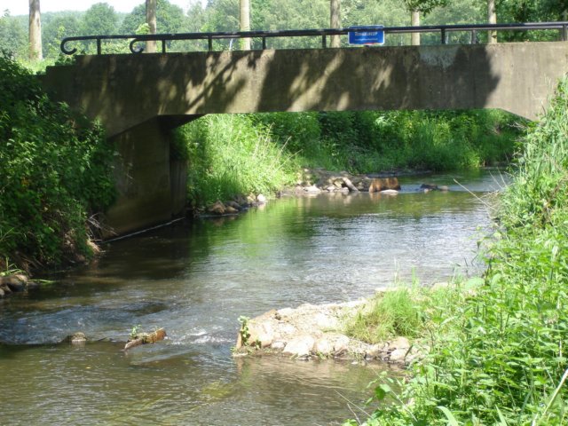 HWK 2009 139.jpg